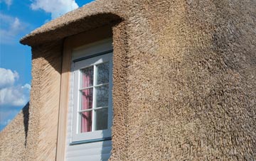 Poolend thatch roof disadvantages