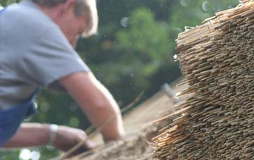 professional Poolend thatchers